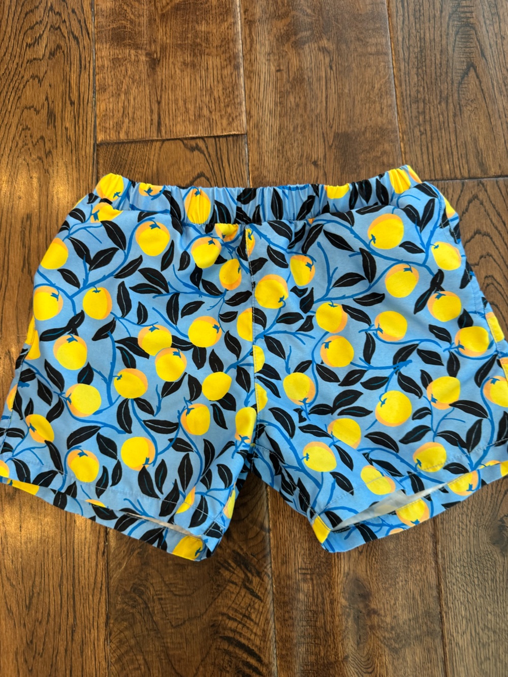 summersalt Swim trunks